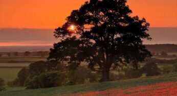 21 Breathtaking Sunset Photography