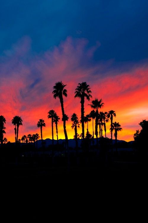 20 Breathtaking Sunset Photography (7)