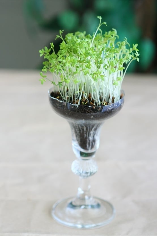 20 Creative and Interesting Things You Can Do with Wine Glasses (6)