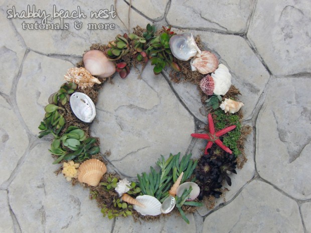 21 Great DIY Succulent Ideas (16)