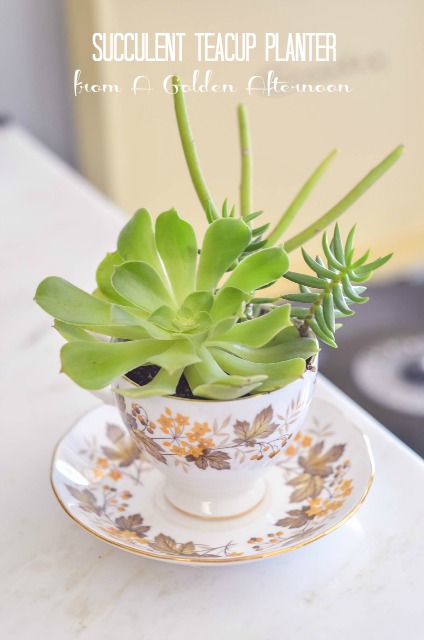 21 Great DIY Succulent Ideas (17)