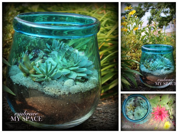 21 Great DIY Succulent Ideas (18)