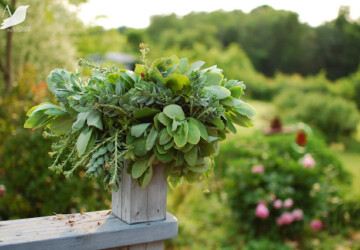 20 Great DIY Succulent Ideas - Succulent, Plants, garden, diy