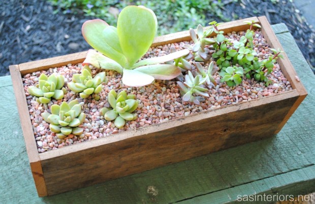 21 Great DIY Succulent Ideas (4)