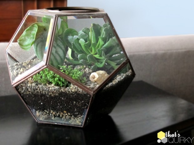 21 Great DIY Succulent Ideas (6)