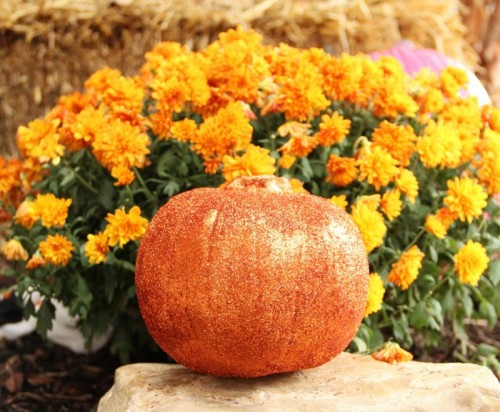 23 Amazing DIY Fall Decorations for Your Home (9)