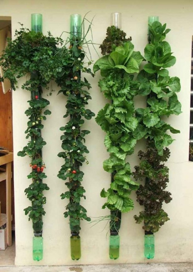22 Amazing Vertical Garden Ideas for Your Small Yard