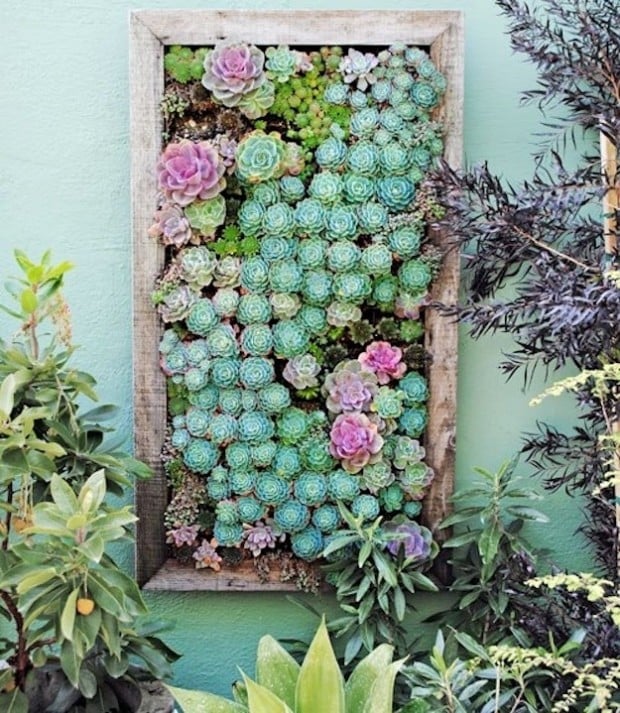23 Amazing Vertical Garden Ideas for Your Small Yard (17)