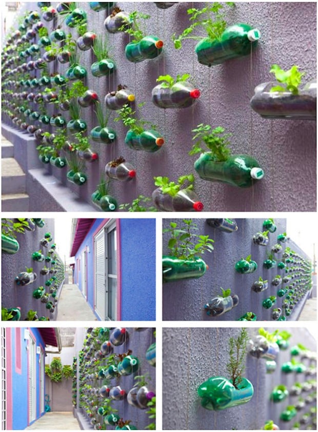 23 Amazing Vertical Garden Ideas for Your Small Yard (7)