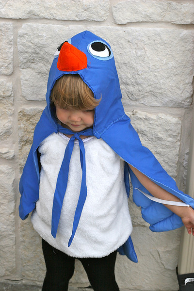 24 Great DIY Kids Halloween Ideas (21)