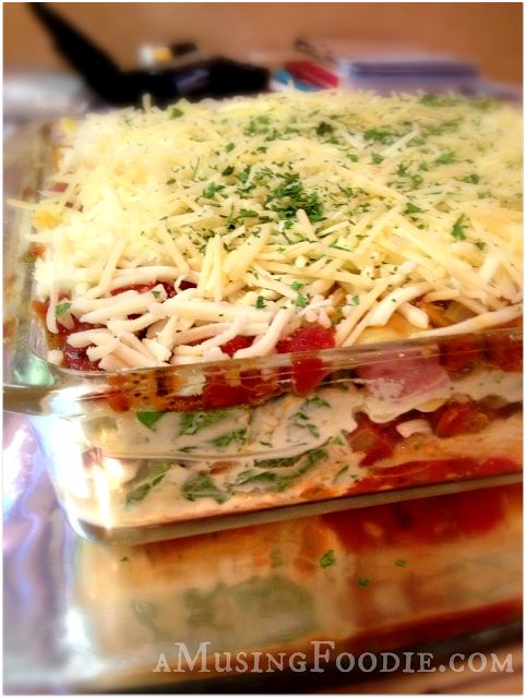 Delicious Lasagna Recipes (18)