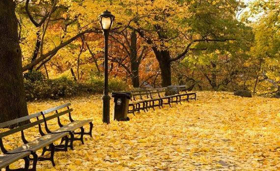Fall in Central Park, New York (13)