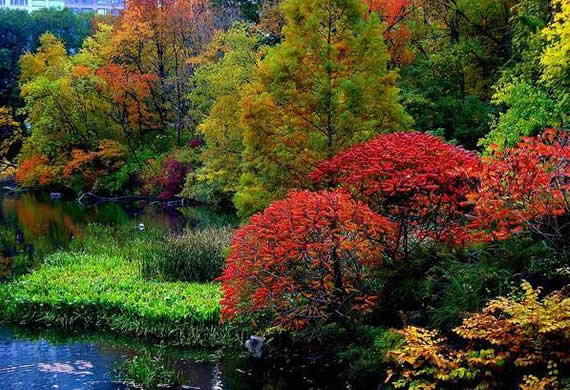 Fall in Central Park, New York (15)