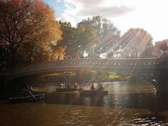 Fall in Central Park, New York (21)