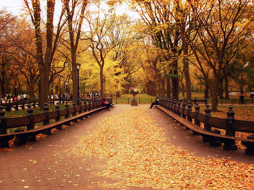 Fall in Central Park, New York