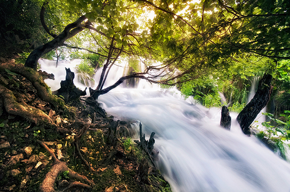 Phenomenal Photography by Photographer Mikko Lagerstedt (12)