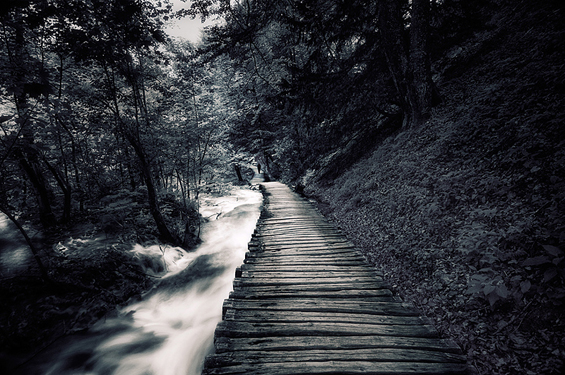 Phenomenal Photography by Photographer Mikko Lagerstedt (2)