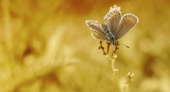 Phenomenal Photography by Photographer Mikko Lagerstedt