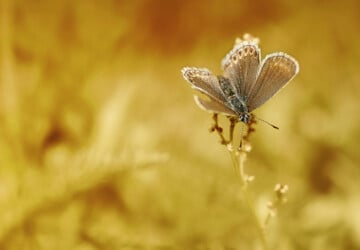 Phenomenal Photography by Photographer Mikko Lagerstedt - photography, Mikko Lagerstedt