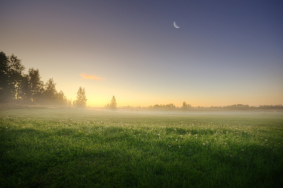 Phenomenal Photography by Photographer Mikko Lagerstedt (3)