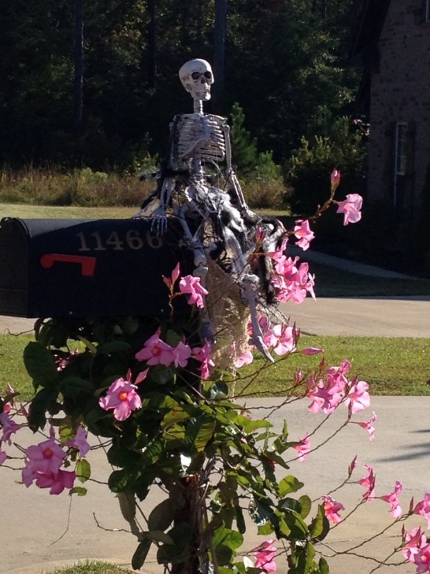 15 Fun and Scary Ideas How to Decorate Your Mailboxes for Halloween (15)