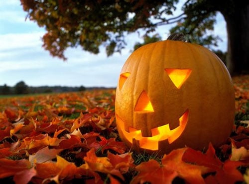 22 Great Creepy Pumpkin Decorations for Halloween  (1)