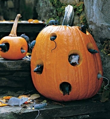 22 Great Creepy Pumpkin Decorations for Halloween  (2)