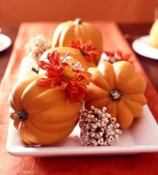 23 Great Fall Decoration Ideas with Pumpkins (2)