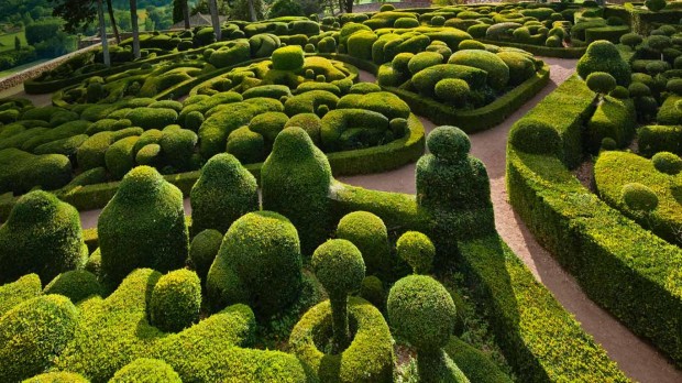 24 Beautiful Boxwood Garden Ideas (17)