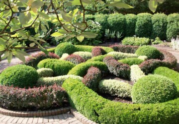 24 Beautiful Boxwood Garden Ideas - garden, Boxwood Garden