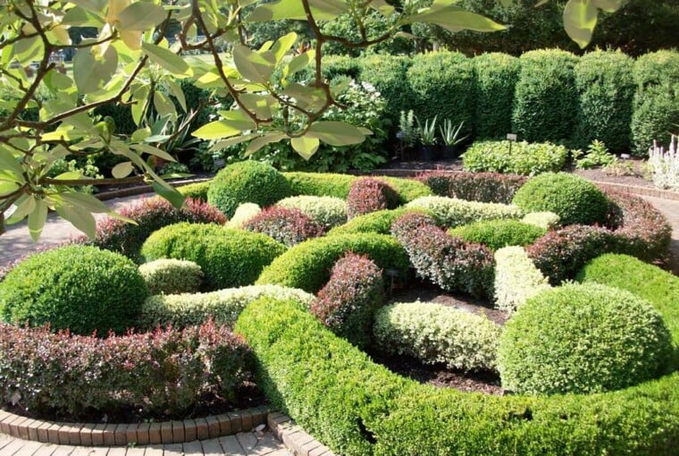 24 Beautiful Boxwood Garden Ideas - garden, Boxwood Garden
