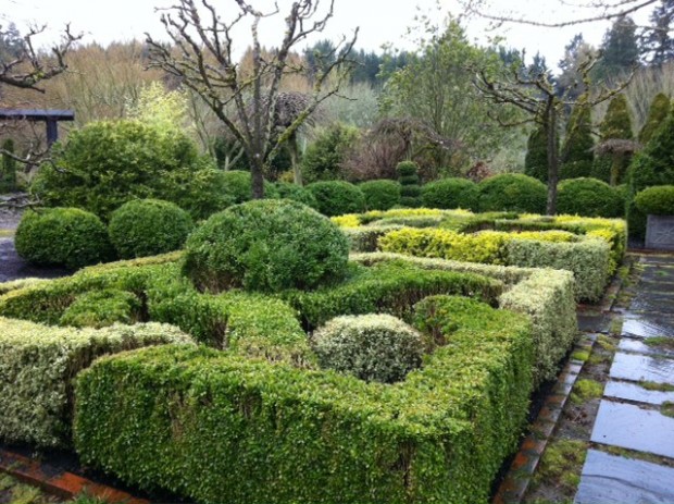 24 Beautiful Boxwood Garden Ideas (6)