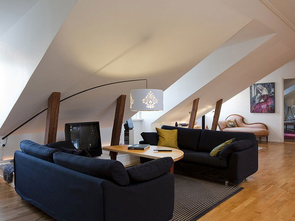 attic ideas (17)