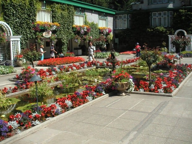 flower garden (2)