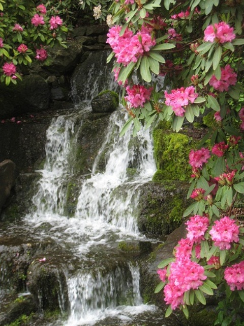26 Amazing Garden Waterfall Ideas