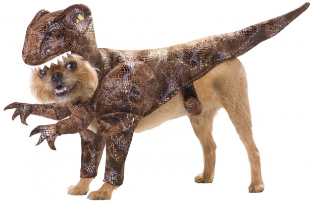 20 Absolutely Amazing Dog Halloween Costumes (1)