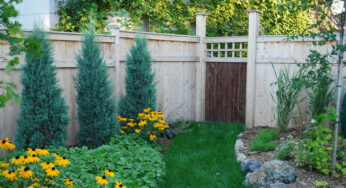 20 Amazing Ideas for Your Backyard Fence Design