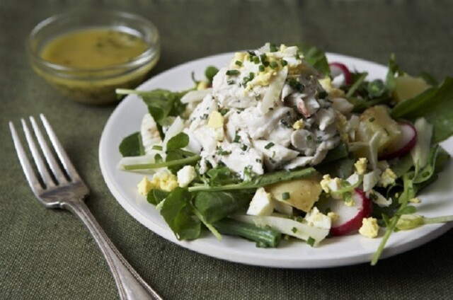 20 Tasty Salad Recipes for Healthy Eating