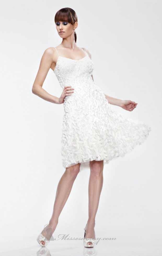 23 Beautiful Short Wedding Dresses (8)