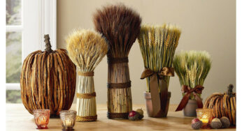 Great Collection of Amazing Fall Decorations for Your Home