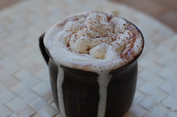 Hot Drinks for Cold Days 20 Great Recipes (12)