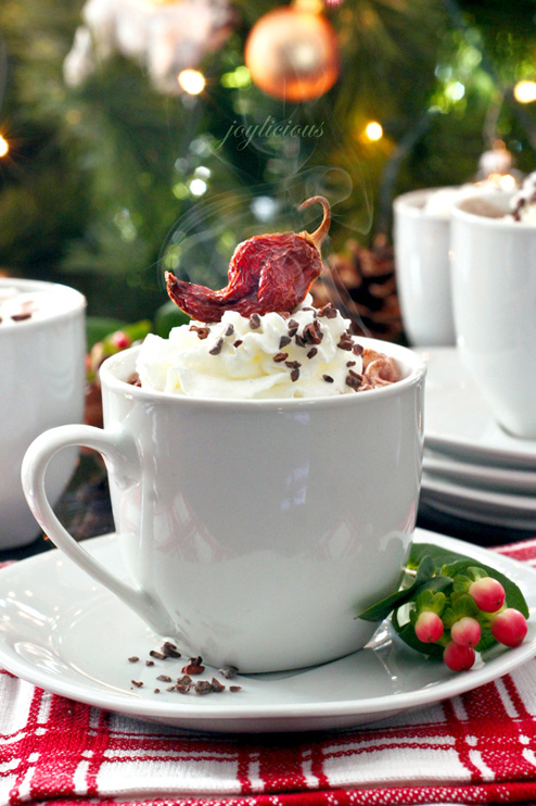 Hot Drinks for Cold Days 20 Great Recipes (8)