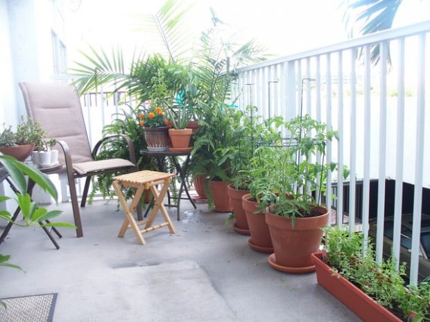 16 Amazing Ideas for Perfect Balcony Garden (15)