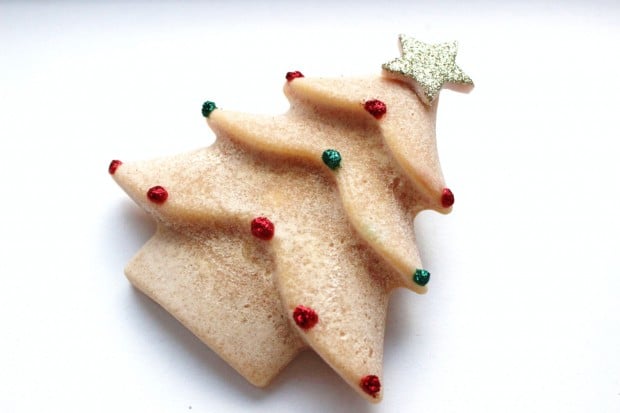 17 Delicious Christmas Cookie Samples (12)