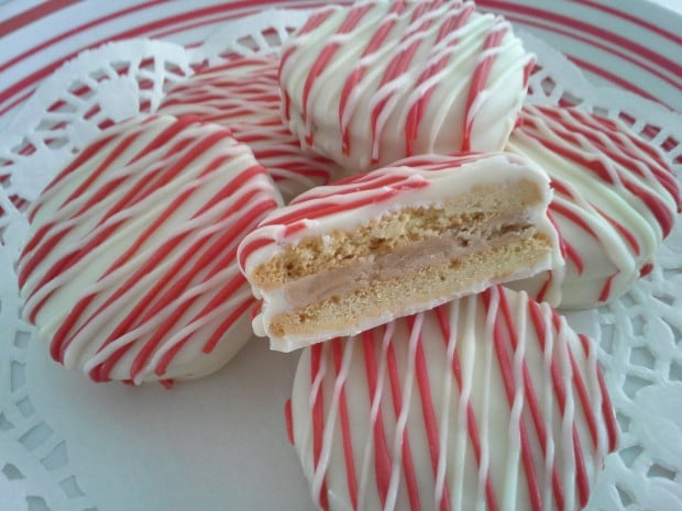 17 Delicious Christmas Cookie Samples (15)