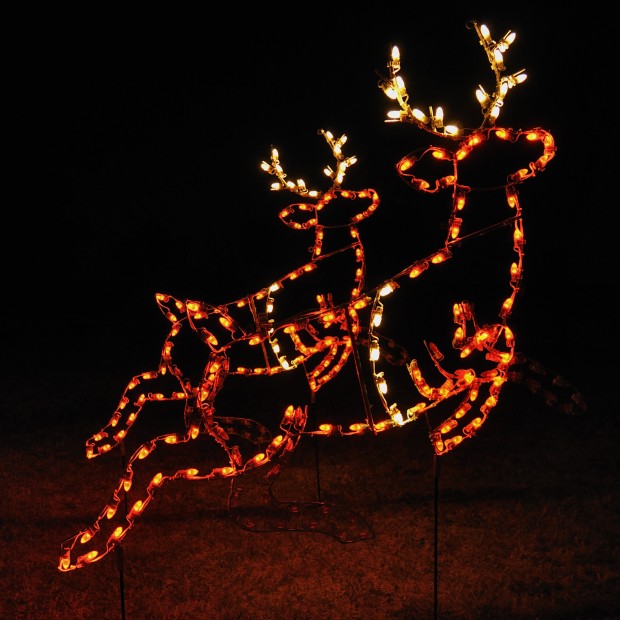 18 Amazing Outdoor Christmas Light Displays (10)