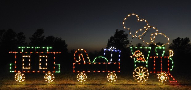 18 Amazing Outdoor Christmas Light Displays (11)