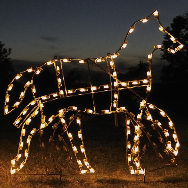 18 Amazing Outdoor Christmas Light Displays (13)
