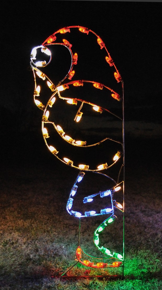 18 Amazing Outdoor Christmas Light Displays (15)