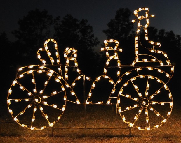 18 Amazing Outdoor Christmas Light Displays (17)